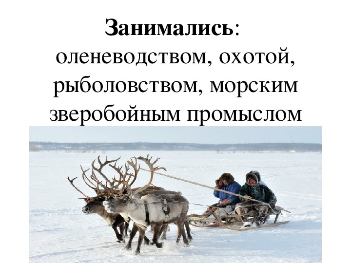 Оленеводство и рыболовство какой народ. Оленеводство, рыболовство и охота. Россия оленеводство и рыболовство. : Оленеводство, охота, рыболовство и морской зверобойный промысел. Морской зверобойный промысел и оленеводство народы России.