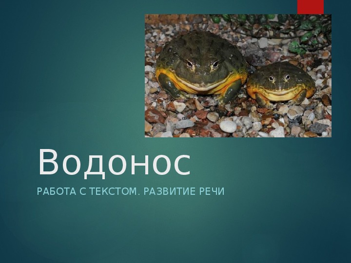 Презентация по русскому языку на тему "Работа с текстом. Водонос" 2-4 класс