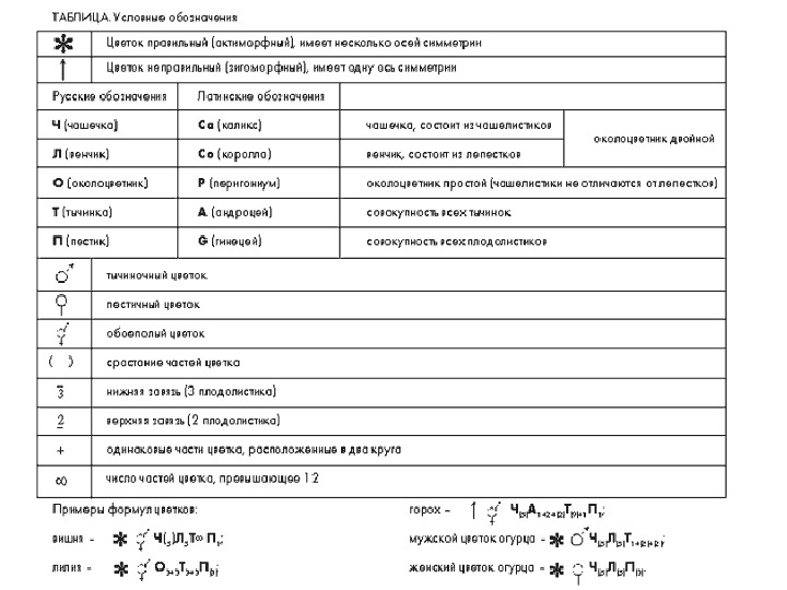 Формула цветка презентация 6 класс