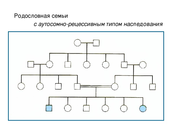 Для аутосомно рецессивного наследования характерно