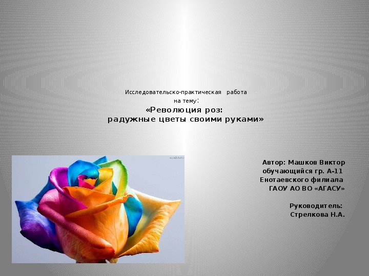 Презентация  исследовательско-практической работы на тему "Революция роз: радужные цветы своими руками"