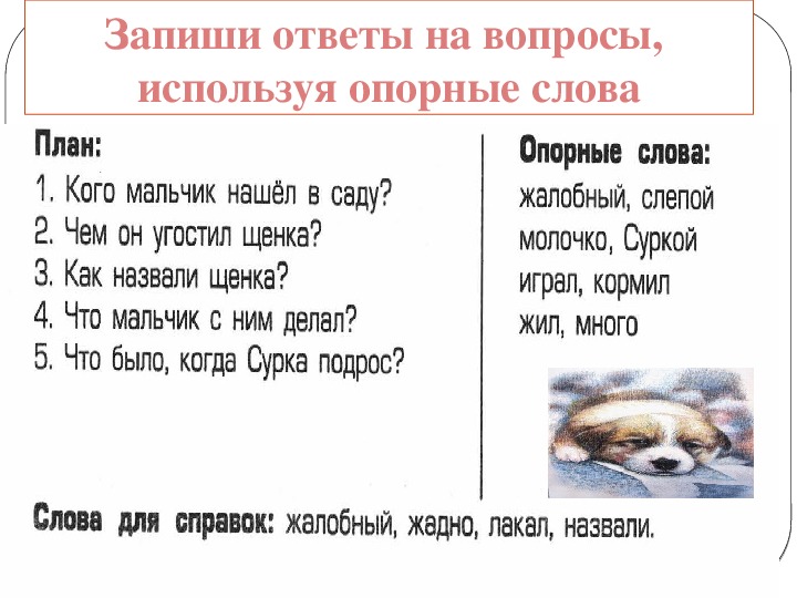 Мой щенок план