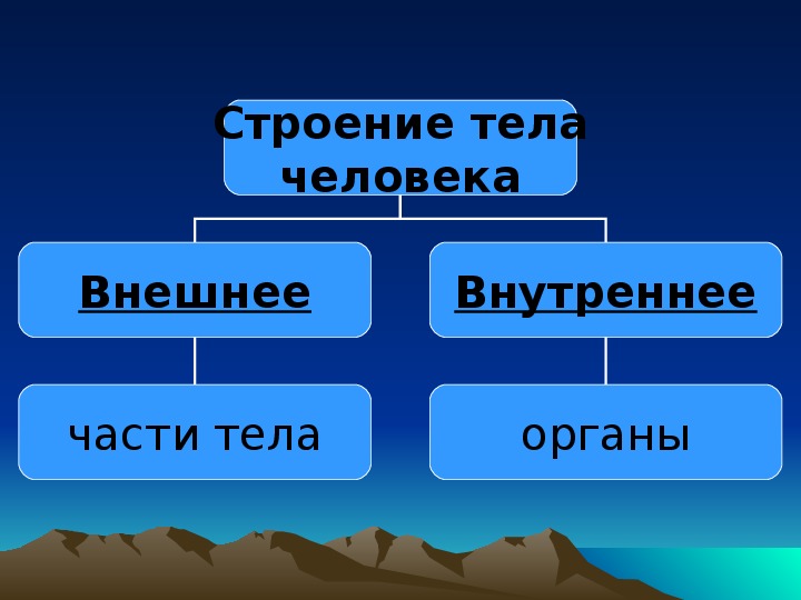 Строение человека 2 класс окружающий мир презентация