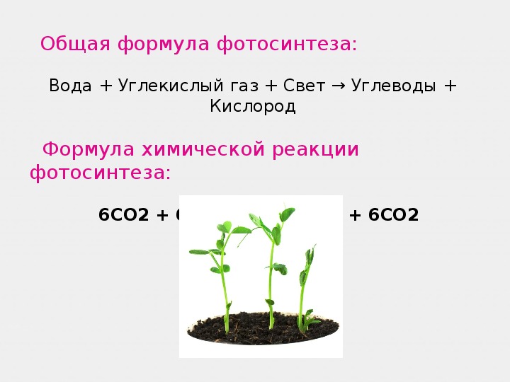 Тест по теме фотосинтез 10 класс биология. Суммарная реакция фотосинтеза формула. Полная формула фотосинтеза.