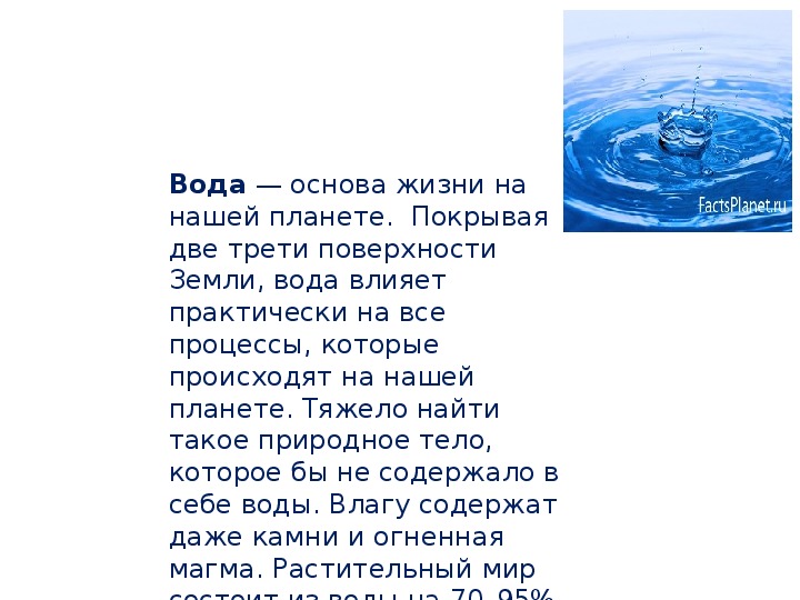 Вода основа жизни проект