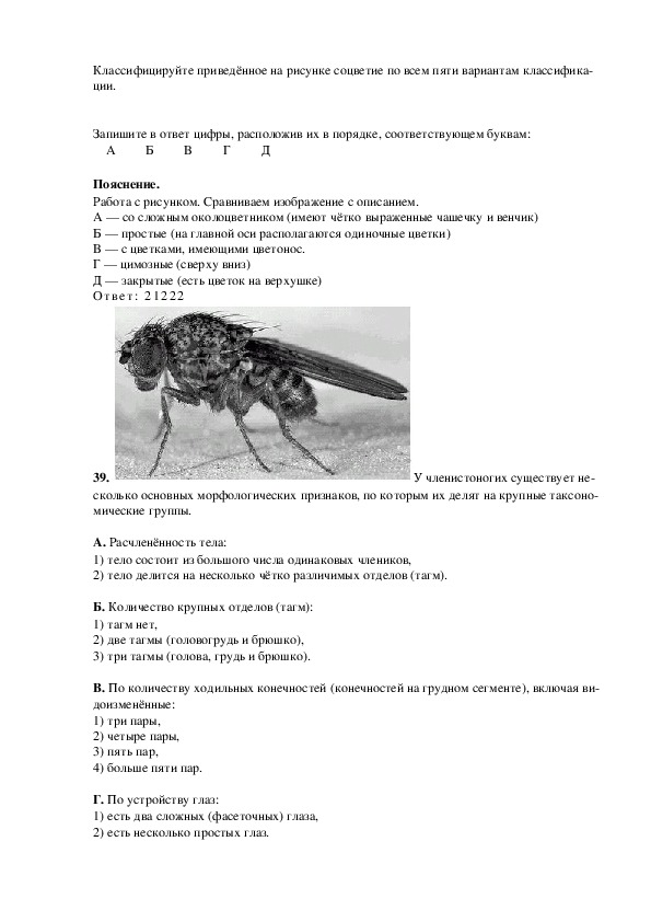 Огэ по биологии задания с картинками