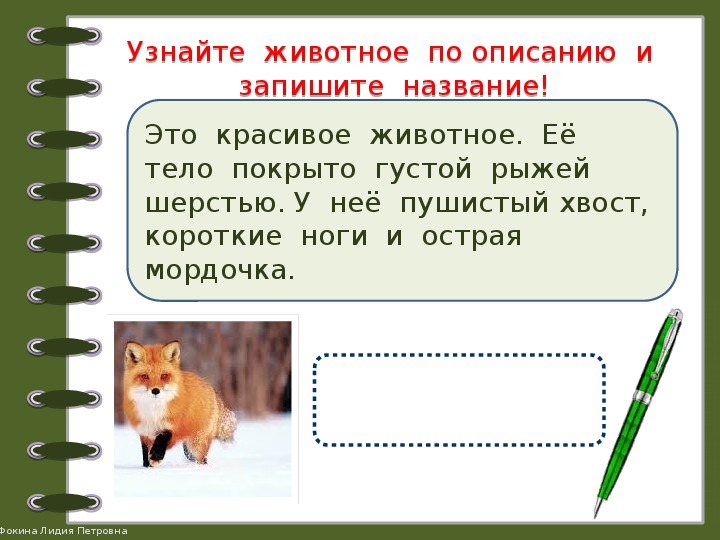 Как понять животных. Животное по описанию. Узнай по описанию. Узнай животных по описанию. Отгадай животного по описанию.