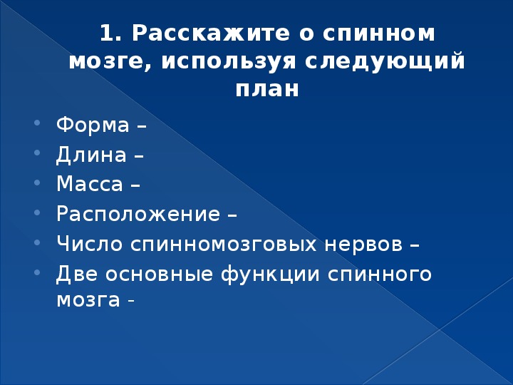 Расскажите о спинном мозге используя следующий план форма длина масса расположение