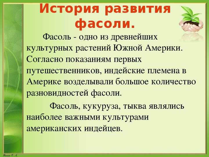 Презентация рост и развитие растений 6 класс. Понаблюдай за развитием семени фасоли гороха бобов заполни. Соя характеристика растения. Соя развитие растений. Составить характеристику сои биология 6 класс.