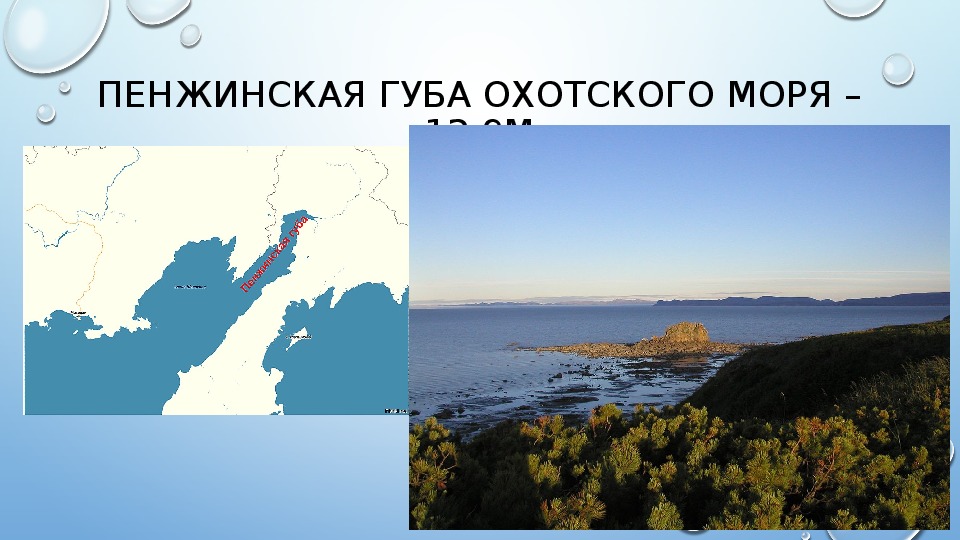 Пенжинская губа фото