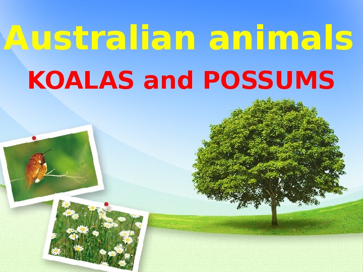 Презентация по англ яз "животные в Австралии"