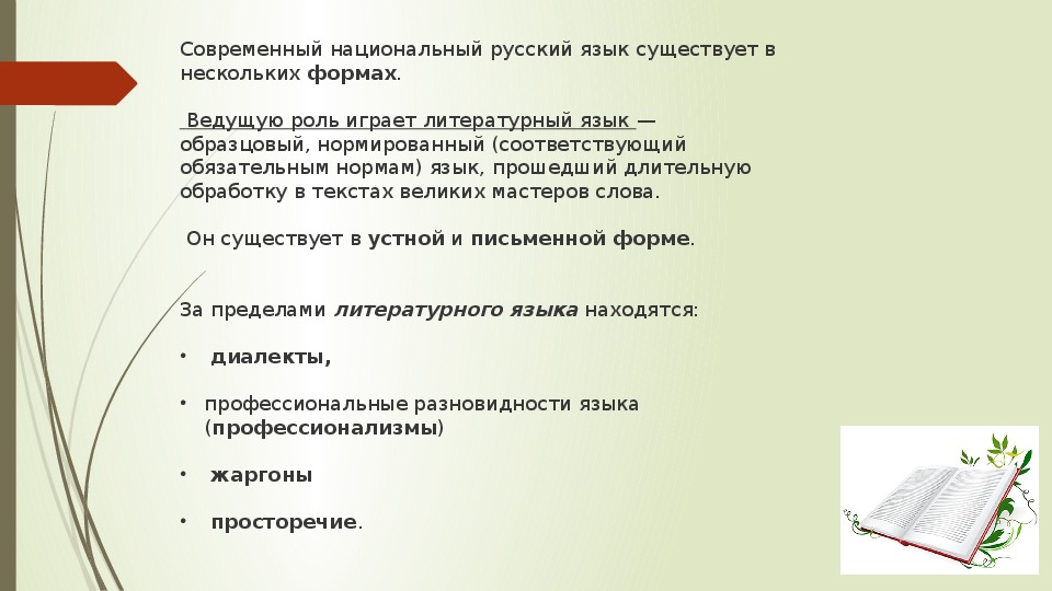 Устная и письменная формы существования русского языка и сферы их применения презентация