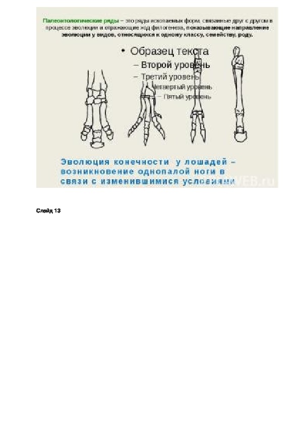 Обложка для материала оногенез