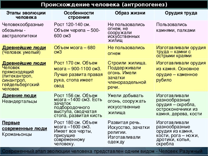 Презентация этапы эволюции человека биология 9 класс пономарева