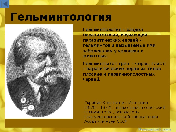 Что такое гельминтология. Гельминтология гельминтологи. Медицинская гельминтология презентация. Паразитология гельминтология. Медицинская гельминтология изучает.