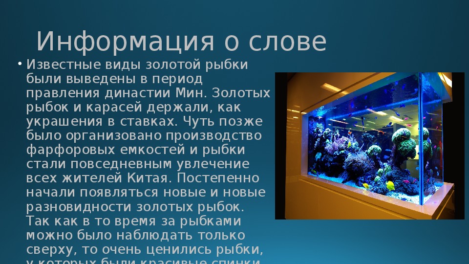 Океанариум текст автостопом. Слово аквариум. Словарное слово аквариум. Красивые слова про аквариум. Текст про аквариум.