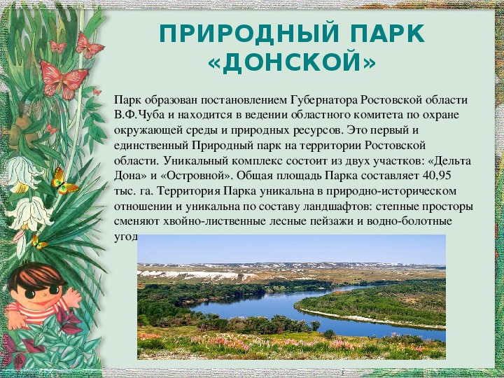 Проект донской край