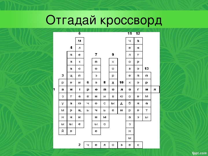 Кроссворд напитков. Отгадай кроссворд. Отгадай кроссворд напитков. Кроссворд по напиткам. Кроссворд напитки.