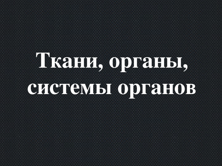 Презентация по биологии "Ткани, органы, системы органов" (7 класс)