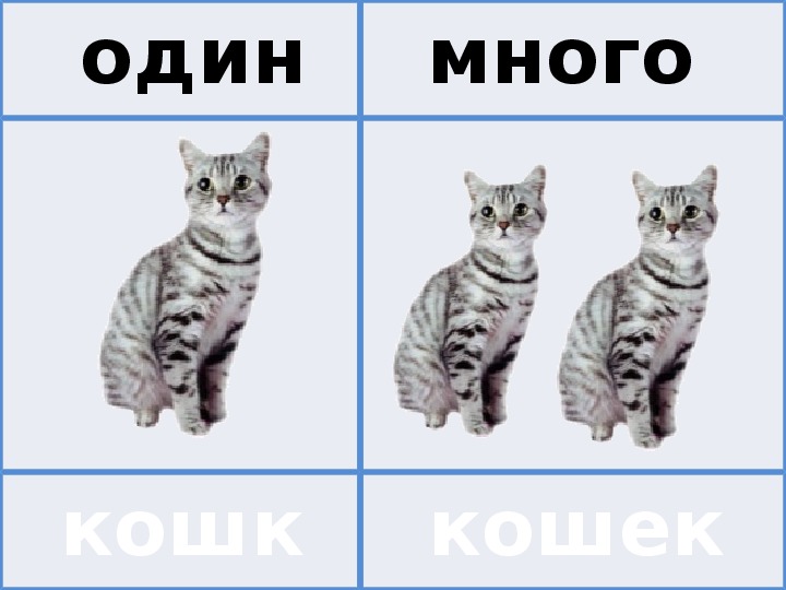 Картинки один и много