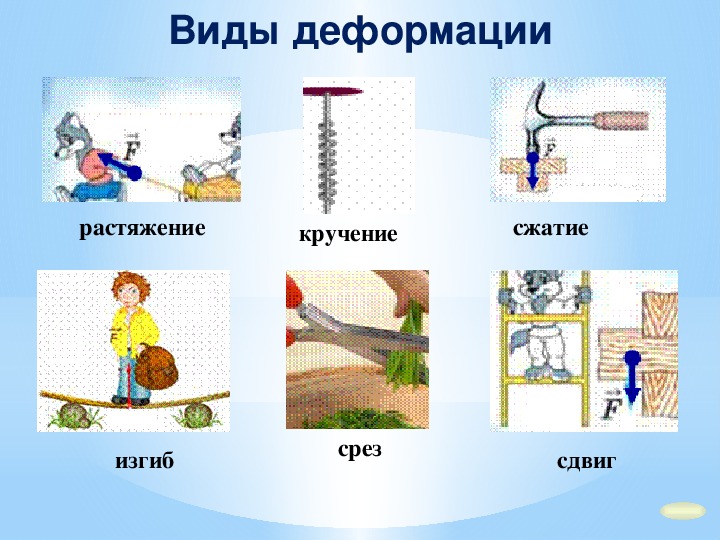 Сила упругости закон гука 7 класс технологическая карта