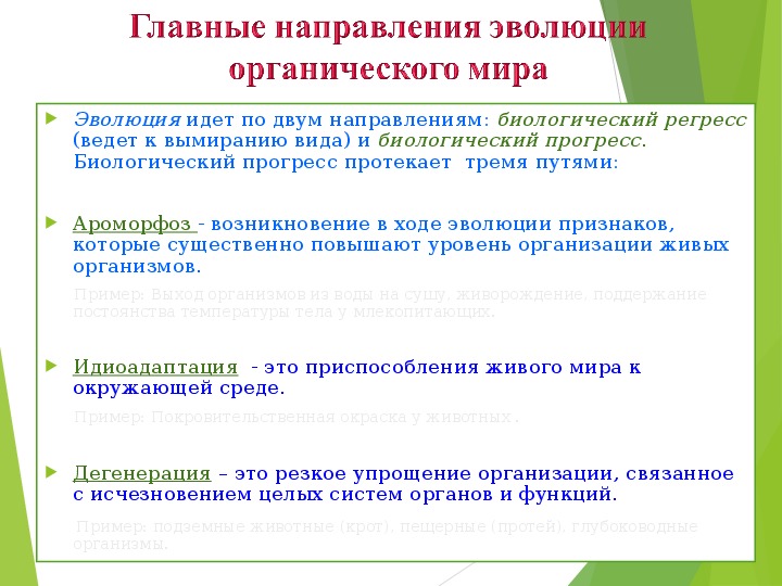 Обобщающий урок по теме эволюция 11 класс презентация