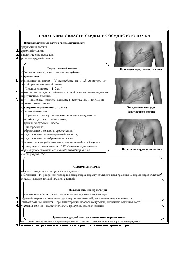 ПАЛЬПАЦИЯ ОБЛАСТИ СЕРДЦА И СОСУДИСТОГО ПУЧКА
