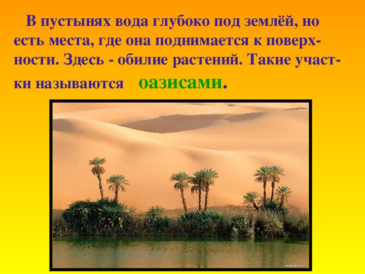 Не станет ли земля пустыней 5 класс биология презентация