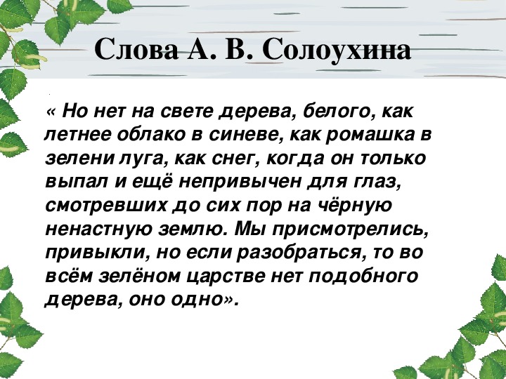 Солоухин деревья 2 класс 21 век презентация