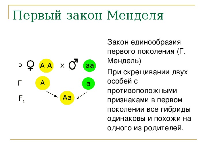 Презентация по биологии 9 класс генетика