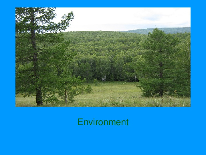 Презентация по английскому языку на тему "Environment"