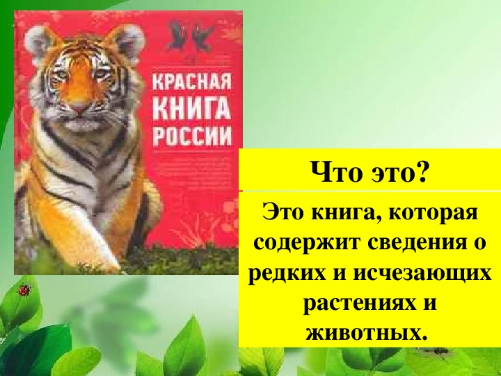 Проект красная книга 2 класс окружающий мир