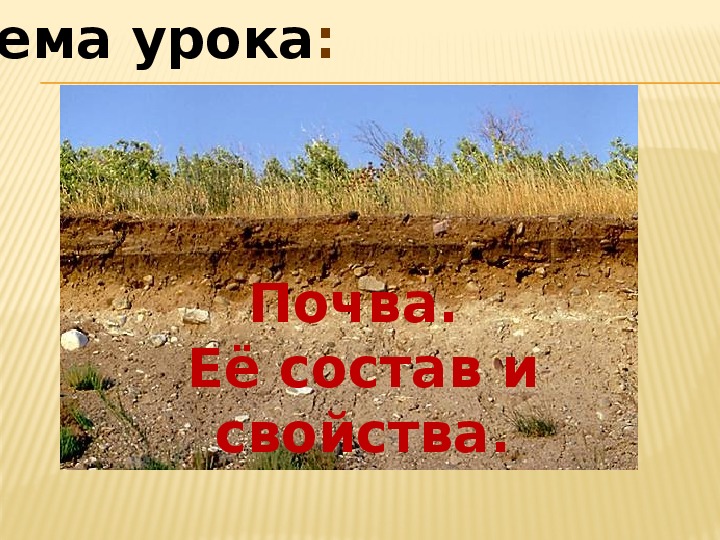 Наука изучающая почву. Изучает почву профессия. Сообщение на тему почвы России легко. Картины по теме почва для презентации для старшей группы.