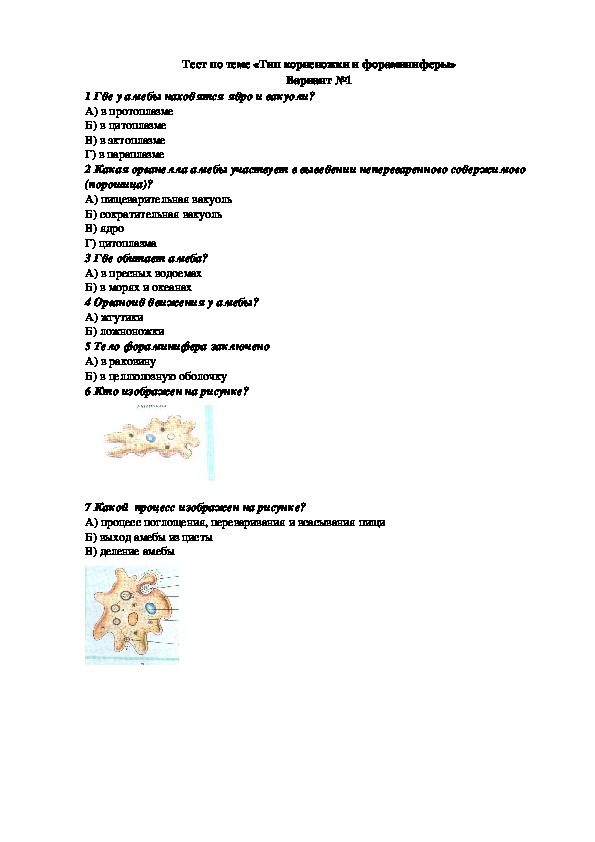 Тест по биологии на тему "Тип Корненожки и Фораминиферы" (7 класс, биология)