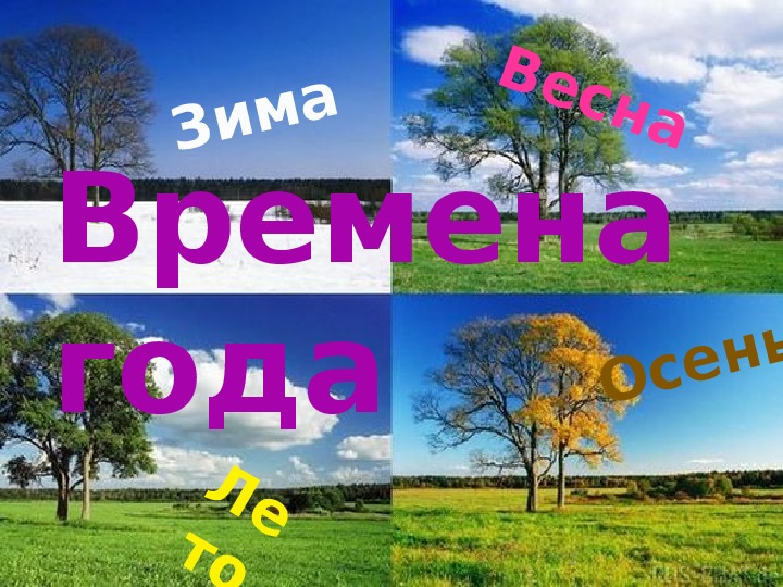 Презентация по литературе Федор Иванович Тютчев стихотворение «Весенняя гроза»