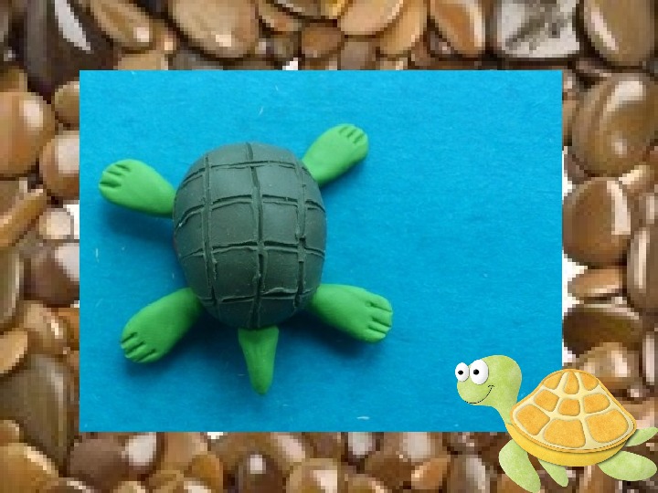 Черепаха средняя группа. Пластилиновая черепаха. Поделка черепашка. Лепим черепаху. Черепаза из пластелина.