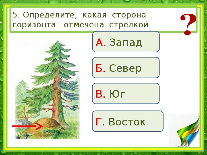 Опишите природный комплекс вашей местности по плану 6 класс ростовская область