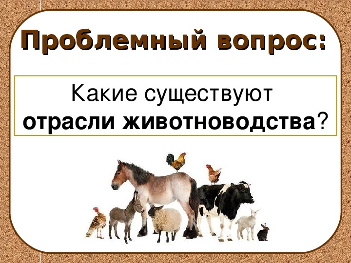 Отрасли животноводства 3 класс. Животноводство задания. Тест на тему животноводство 3 класс окружающий