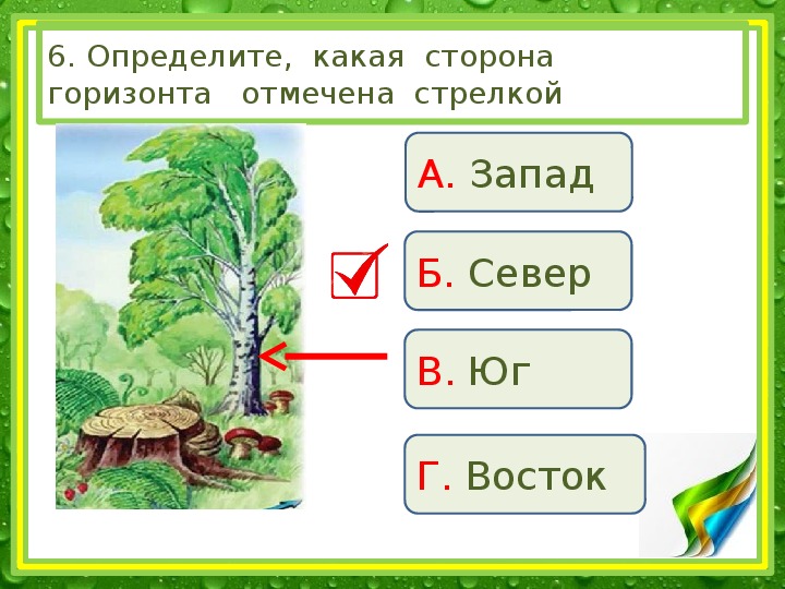 Опишите природный комплекс вашей местности по плану 6 класс барнаул