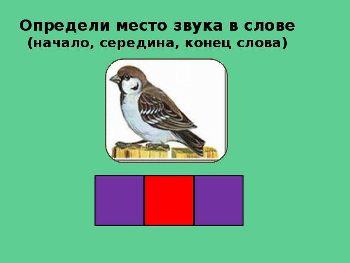 Начало середина конец. Схема звуков в начале середине и конце. Место звука в слове схема начало середина конец. Птичка для определения места звука в слове. Схема начало середина конец слова.