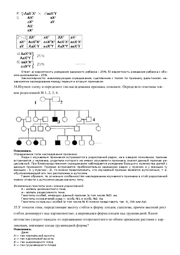 Задачи по генетике егэ биология 2024. Решение задач по биологии ЕГЭ 28 задание. Схема для решения 28 задания биологии ЕГЭ. 28 Задание ЕГЭ биология 2022. Генетика задачи ЕГЭ биология.