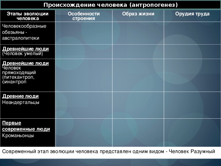 Основные этапы эволюции