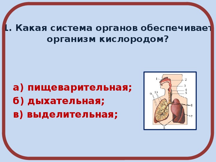 3 класс окружающий мир плешаков дыхание и кровообращение презентация