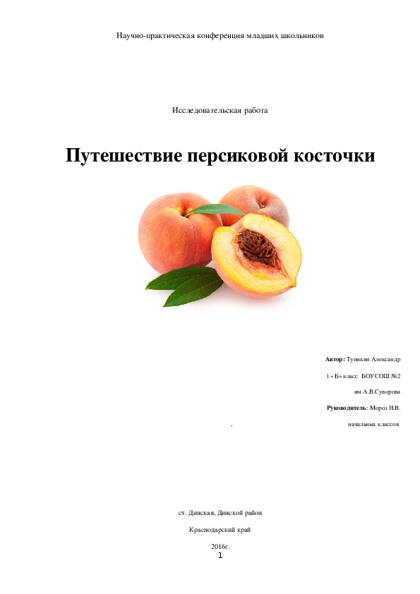 Исследовательская работа "Путешествие персиковой косточки"(1 класс)