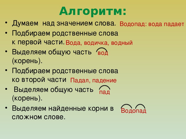 Выдели корень в сложных словах. Алгоритм нахождения родственных слов. Слова с корнем вод. Водопад однокоренные слова. Родственные слова к слову вода 4 класс.