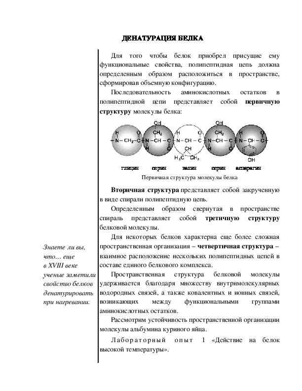 Обложка для материала Индивидуальный образовательный маршрут школьника по теме "Денатурация белка", 10 класс
