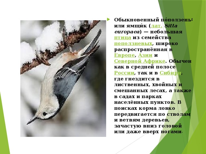 Изложение повествовательного текста по цитатному плану 4 класс школа россии упр 310 презентация