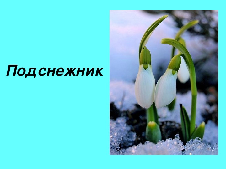 Какое слово весенний. Весенние слова. Слова на тему Весна. Текст про весну. Предложения о весне.