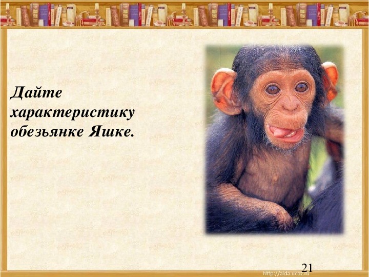 Вопросы к про обезьянку 3 класс. Обезьянка. Житков про обезьянку. Б Житков про обезьянку. Рассказ про обезьянку.