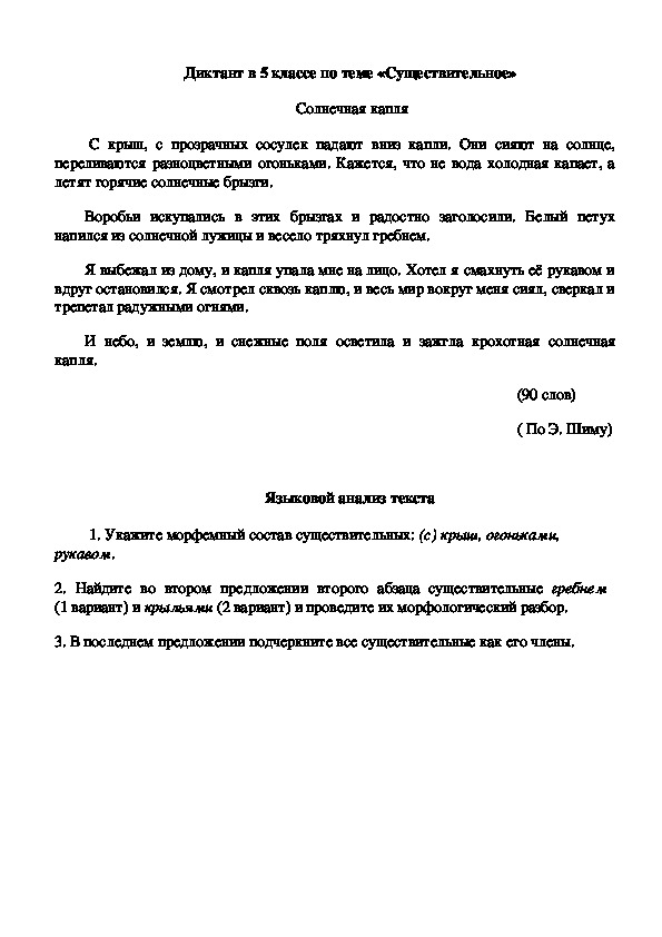 Диктант в 5 классе по теме "Имя существительное"